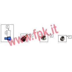 Vite + O-ring di Sicurezza (figura 3+4)