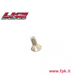 55 Fig Vite fissaggio Pignone