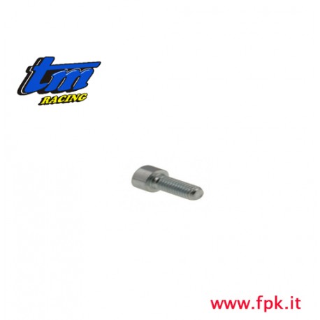 VITE TCEI 6 x 20 (Figura n° 5) 