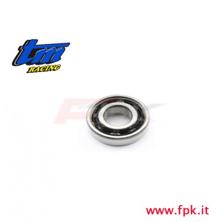 028 Fig CUSCINETTO 6202 C4