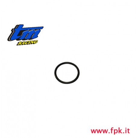 004 Fig O-RING