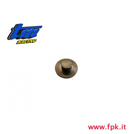 007 Fig REGGISPINTA FRIZIONE