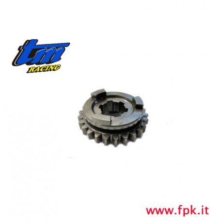 043 Fig INGRANAGGIO 6° A.S. Z 25