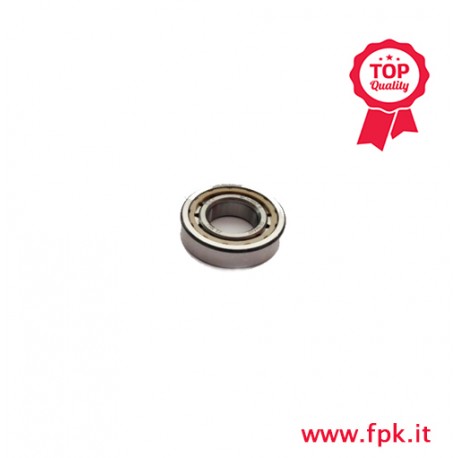 007 Fig CUSCINETTO A RULLI PIGNONE ALBERO 21MM BC1-3022